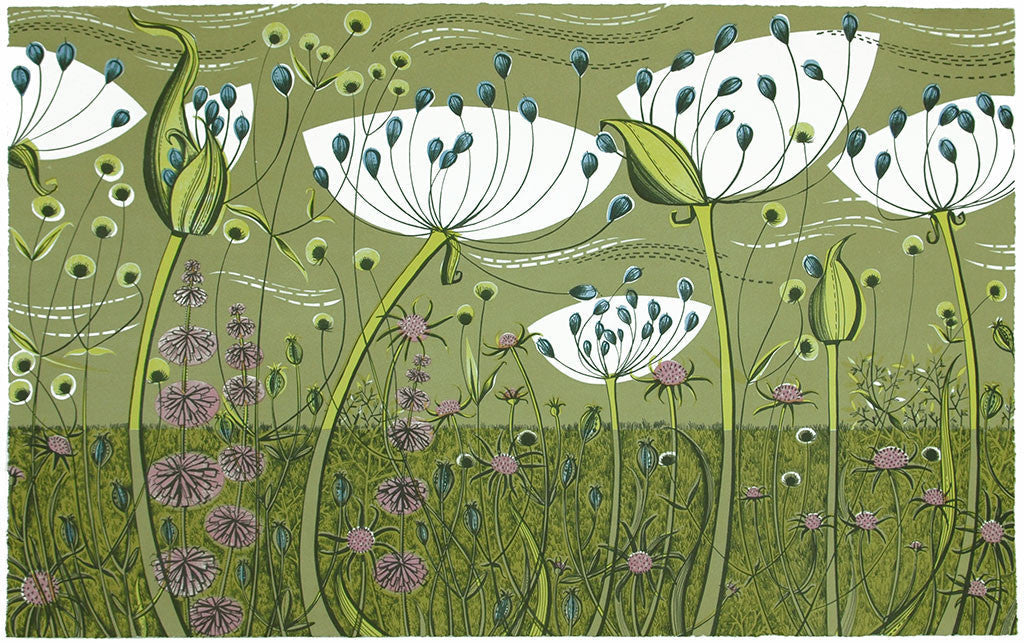 Agapanthus, lithograph by Angie Lewin