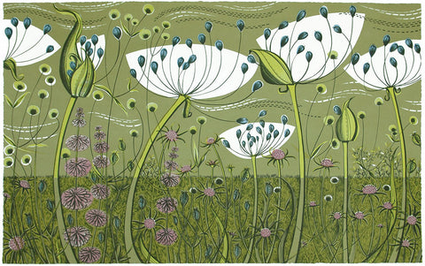 Agapanthus