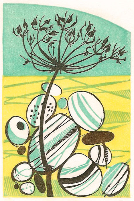 Alexanders, wood engraving by Angie Lewin