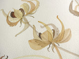 Calendula Study III - Angie Lewin - printmaker and painter