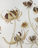 Calendula Study III - Angie Lewin - printmaker and painter