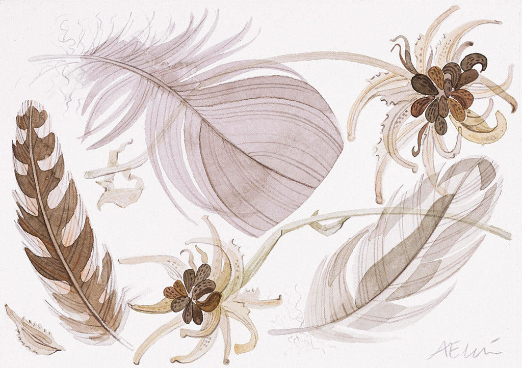Calendula and Feathers - Angie Lewin - printmaker and painter