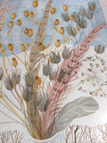 Campion and Columbine Seedheads with Spey Feathers - Angie Lewin - printmaker and painter