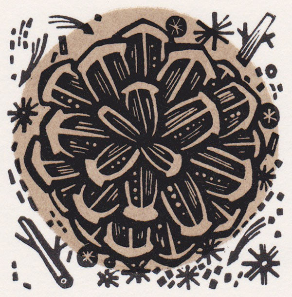 Cone, wood engraving by Angie Lewin