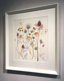 Coneflower with Spanish Seedheads - Angie Lewin - printmaker and painter