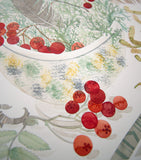 Cromarty Bowl and Spey Lichen - Angie Lewin - printmaker and painter