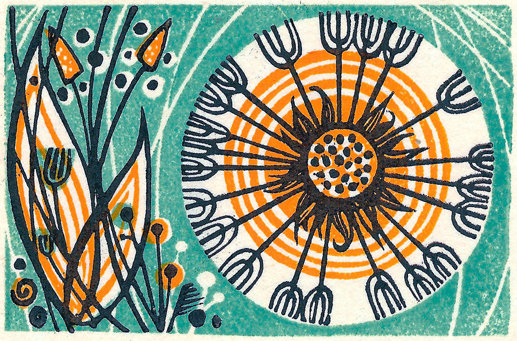 Dandelion I, wood engraving by Angie Lewin