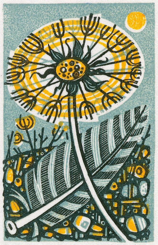 Dandelion III, wood engraving by Angie Lewin