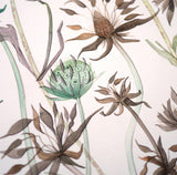 Devil's Bit Scabious Study - Angie Lewin - printmaker and painter
