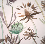 Devil's Bit Scabious Study - Angie Lewin - printmaker and painter