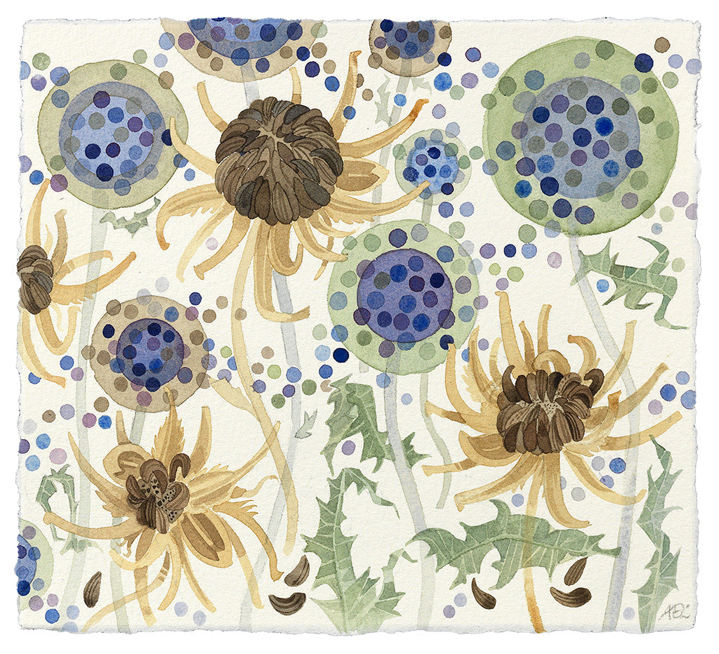 Echinops and Calendula - Angie Lewin - printmaker and painter