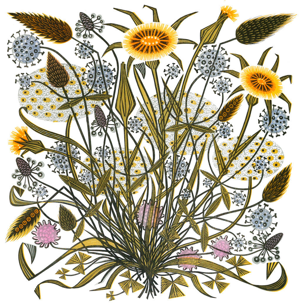 Goat's Beard and Grasses, linocut by Angie Lewin