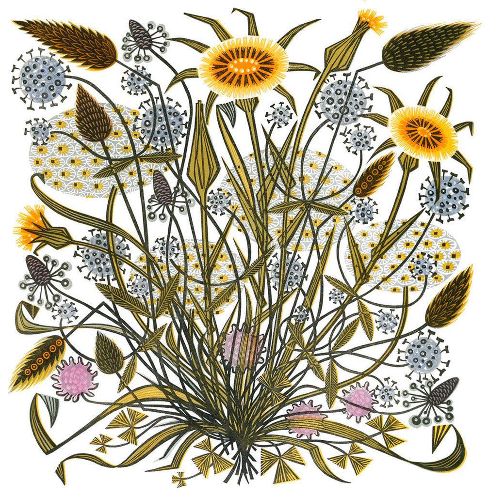 Goat's Beard and Grasses - Angie Lewin - printmaker and painter