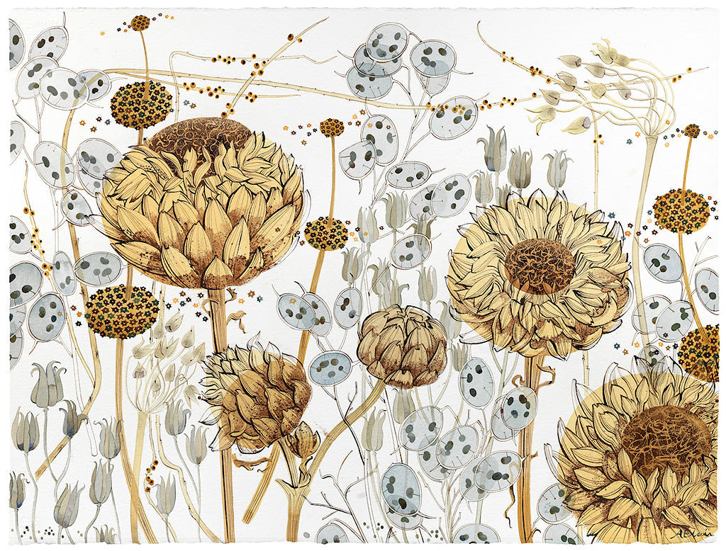 Honesty, Aquilegia and Artichokes - Angie Lewin - printmaker and painter