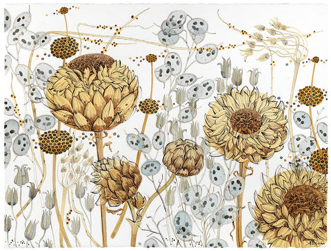 Honesty, Aquilegia and Artichokes