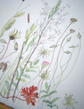 La Caviere - Angie Lewin - printmaker and painter