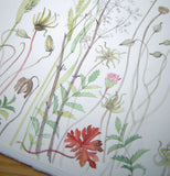 La Caviere - Angie Lewin - printmaker and painter