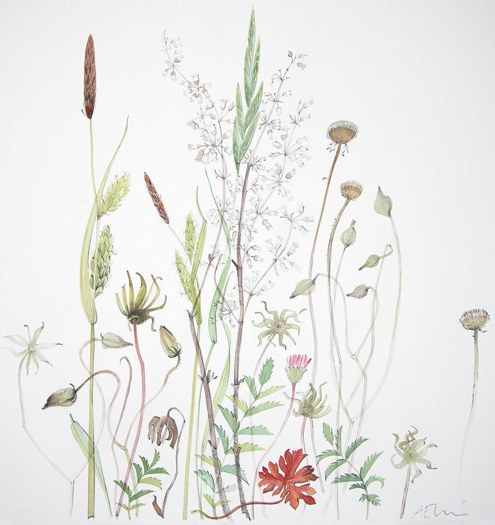 La Caviere - Angie Lewin - printmaker and painter