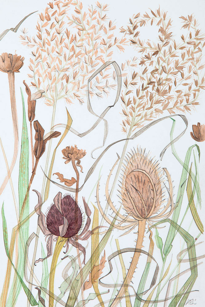 Meadow Grasses with Teasel - Angie Lewin - printmaker and painter
