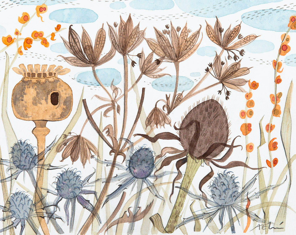 Meadow with Poppy & Astrantia - Angie Lewin - printmaker and painter