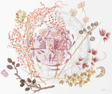 Pink Lustre Plate with Sheep's Sorrel - Angie Lewin - printmaker and painter