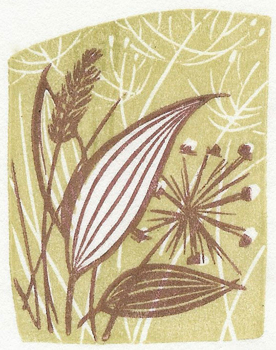 Plantain - Angie Lewin - printmaker and painter