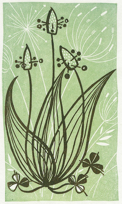 Ribwort Plantain, linocut by Angie Lewin