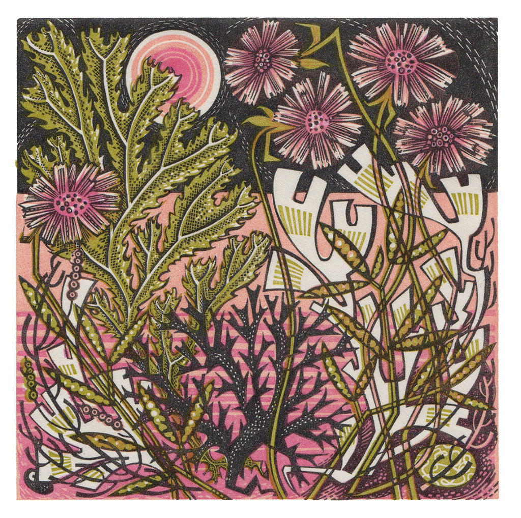 Sea Pinks, wood engraving by Angie Lewin