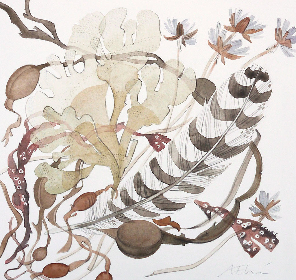 Seaweed, Thrift and Feather - Angie Lewin - printmaker and painter