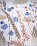 Seedheads, Feathers and Bracken - Angie Lewin - printmaker and painter