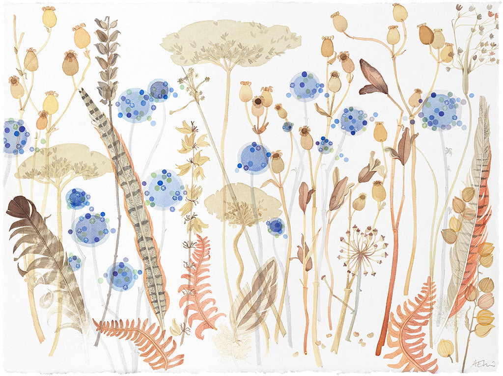 Seedheads, Feathers and Bracken - Angie Lewin - printmaker and painter