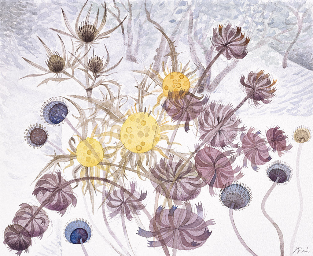 Seedheads and Olive Trees, La Caviere - Angie Lewin - printmaker and painter