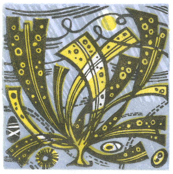 Skye Seaweed, wood engraving by Angie Lewin