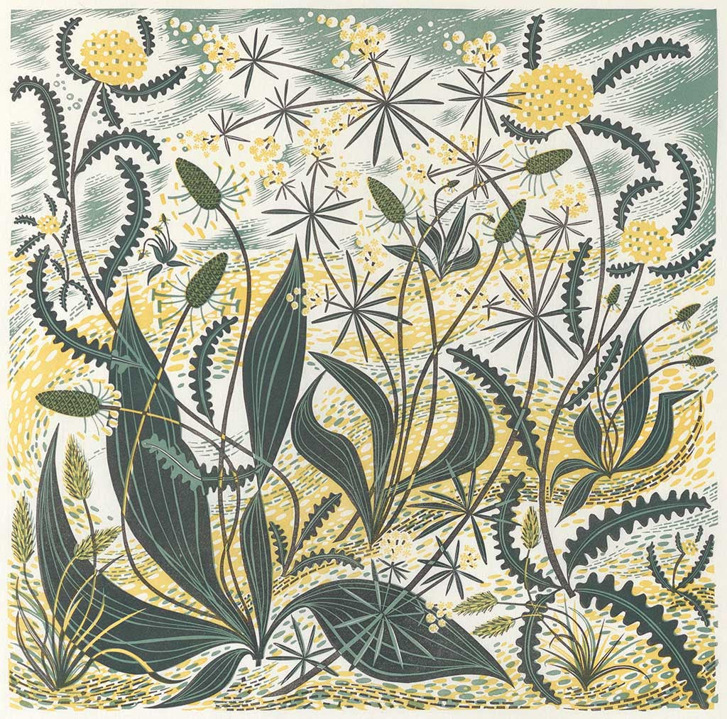 Sollas Sands, linocut by Angie Lewin