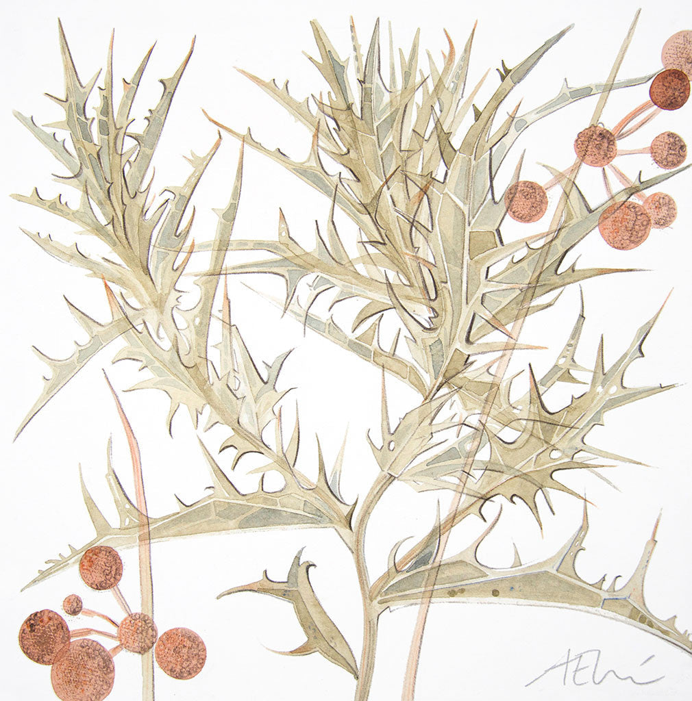 Spanish Seedheads, Tamariu - Angie Lewin - printmaker and painter