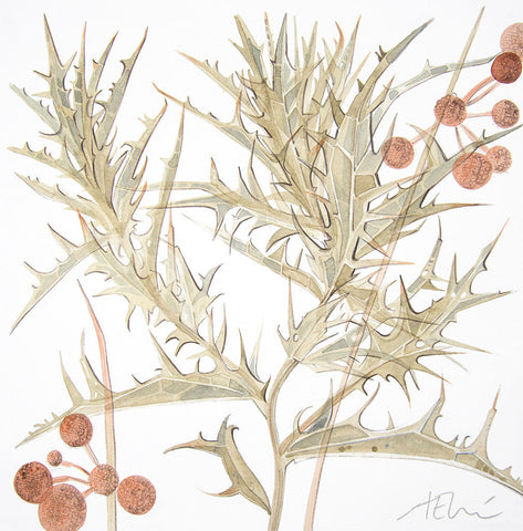 Spanish Seedheads, Tamariu