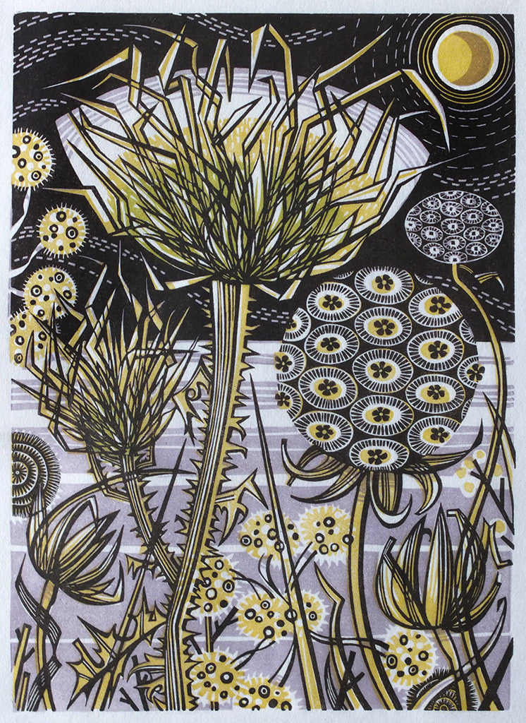 Spanish Seedheads, wood engraving by Angie Lewin