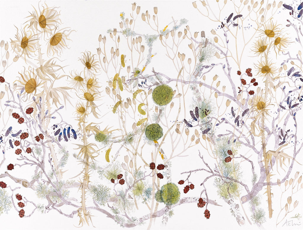 Spey Path Lichen and Seedheads - Angie Lewin - printmaker and painter