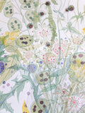 Summer Garden, Edinburgh - Angie Lewin - printmaker and painter