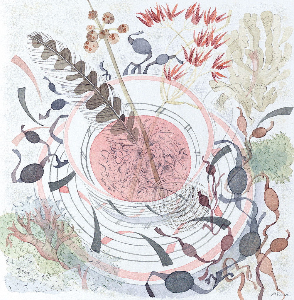 Sutherland Shore - Angie Lewin - printmaker and painter