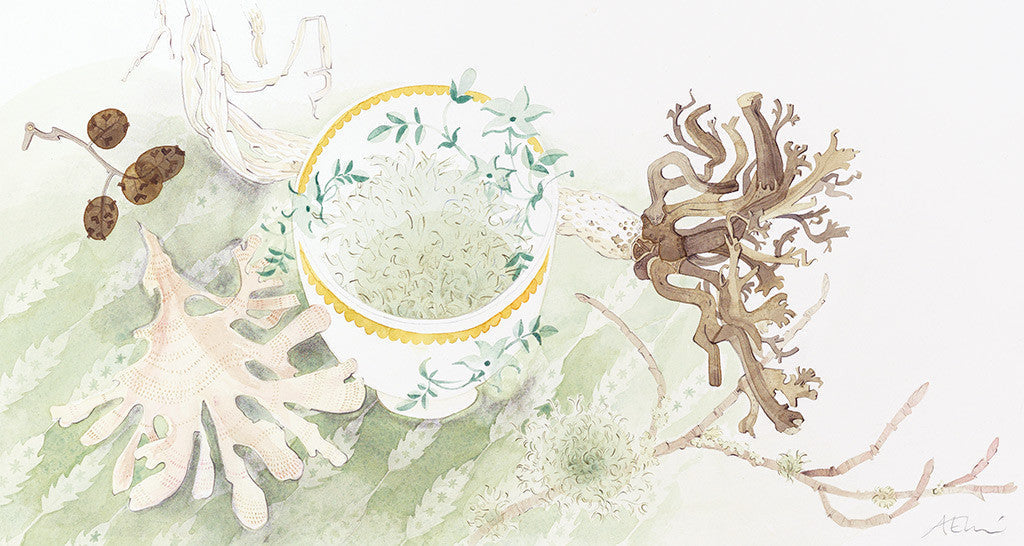 Teabowl and Holdfast - Angie Lewin - printmaker and painter