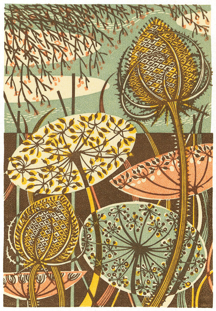 Teasel - Angie Lewin - printmaker and painter