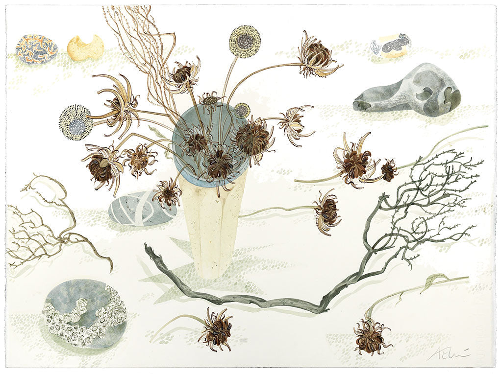 Twisted Stem, Calendula and Pebbles - Angie Lewin - printmaker and painter