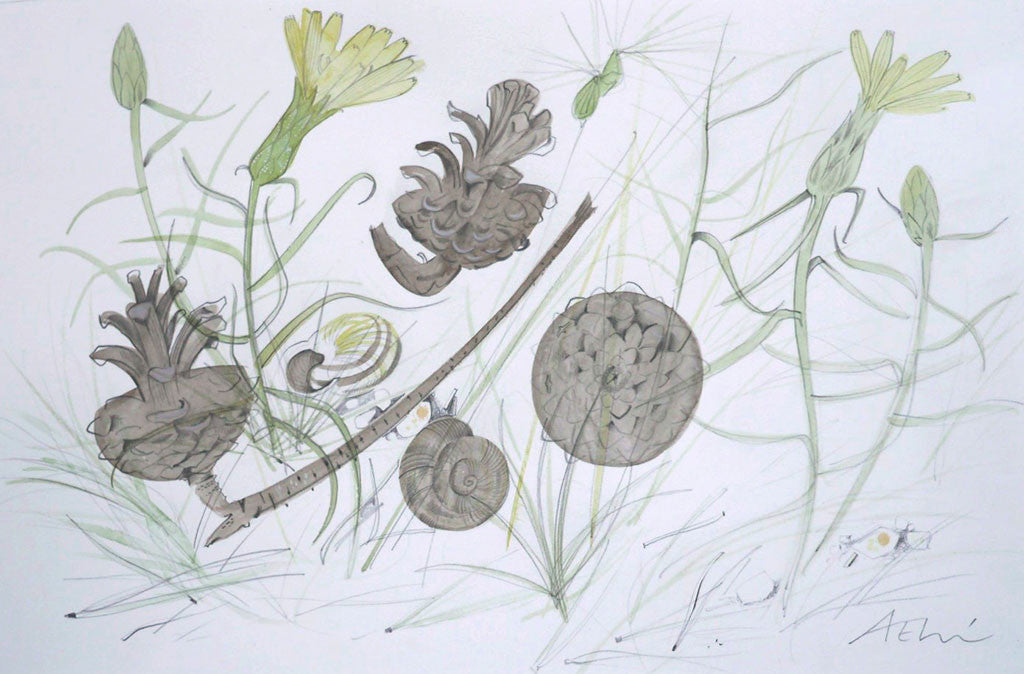 Viper's Grass and Cones - Angie Lewin - printmaker and painter