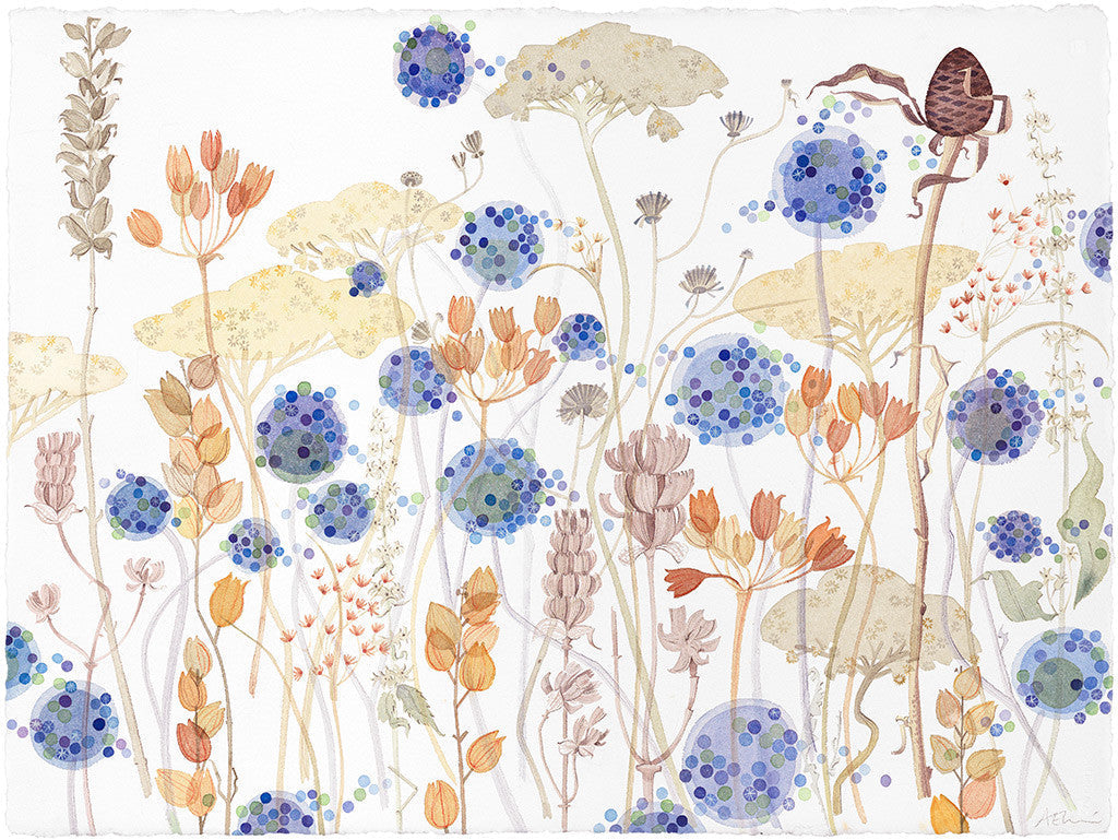 Wild Garden, Seedheads - Angie Lewin - printmaker and painter