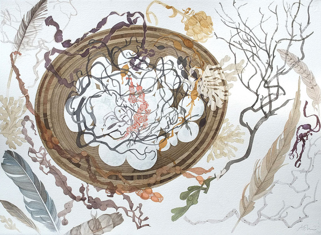 Wooden Dish with Uist Pebbles - Angie Lewin - printmaker and painter