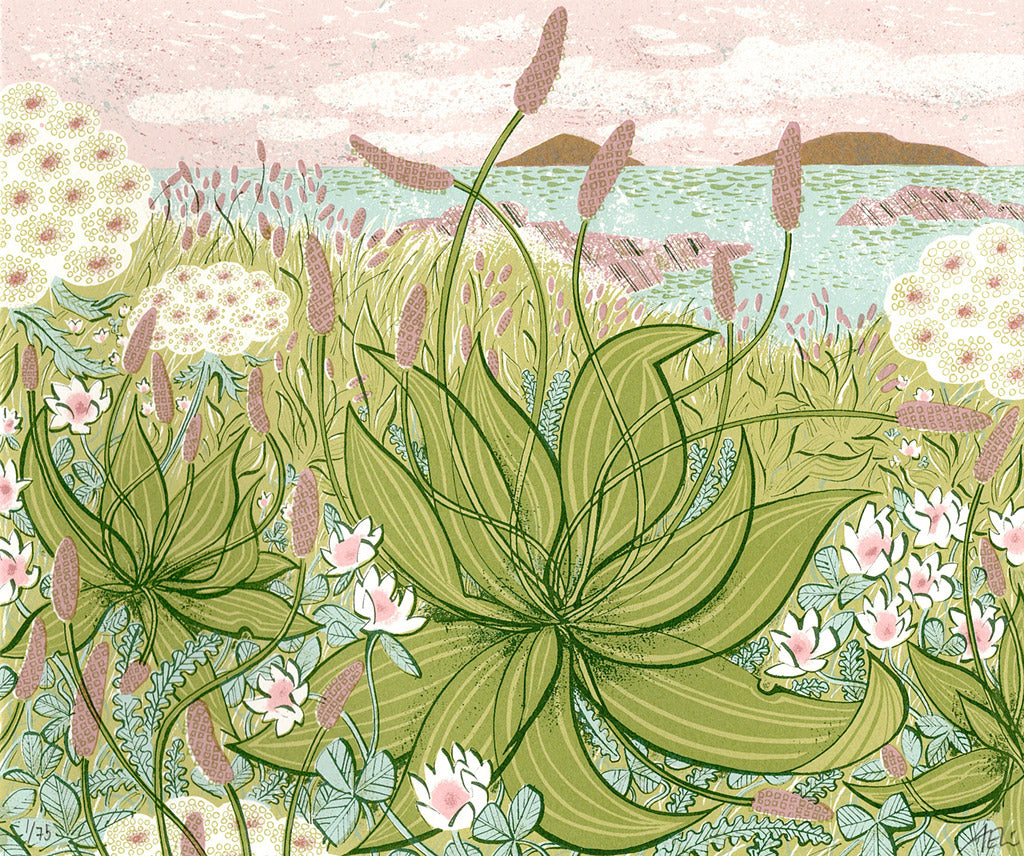 Plantain, Summer Shore, screenprint by Angie Lewin