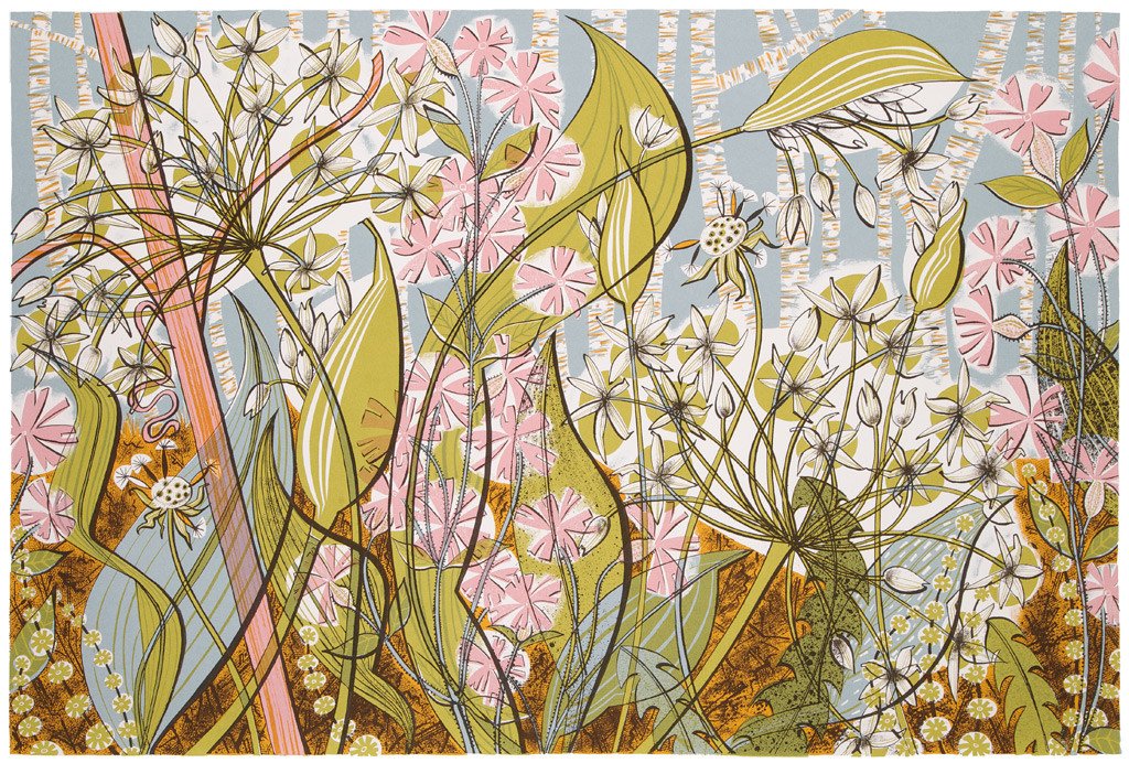 Ramsons and Campion - Angie Lewin - printmaker and painter
