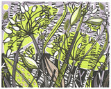 Ramsons - framed - Angie Lewin - printmaker and painter