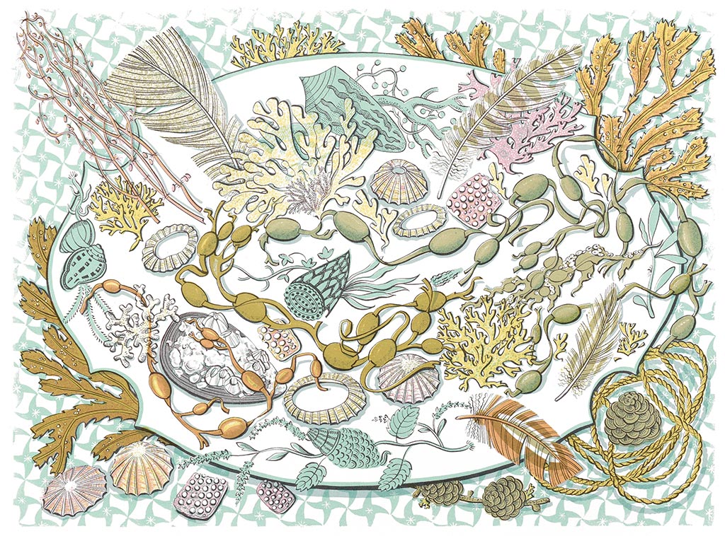 Shell, Seaweed and Feather - Angie Lewin - printmaker and painter